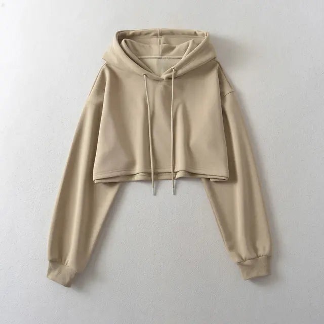 Autumn Drawstring Hooded Pullover Sweater