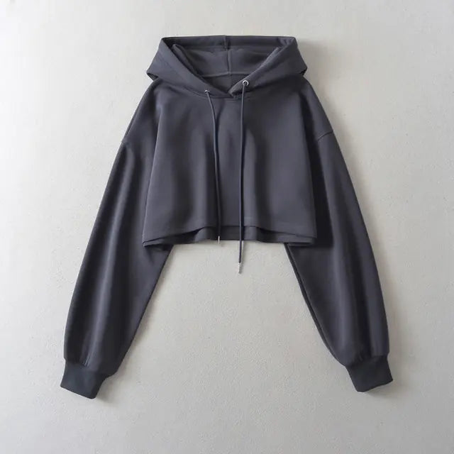 Autumn Drawstring Hooded Pullover Sweater